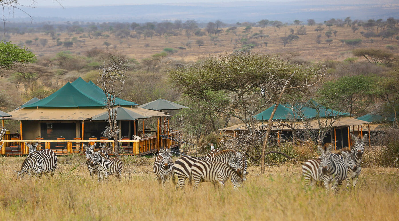 Sound of Nature Tented Camp