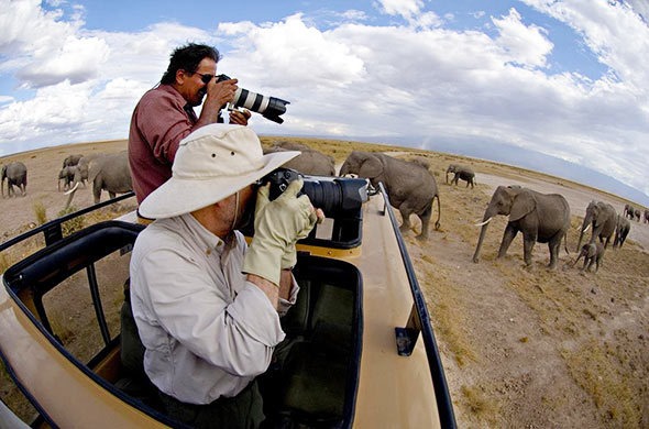 Photography Safaris