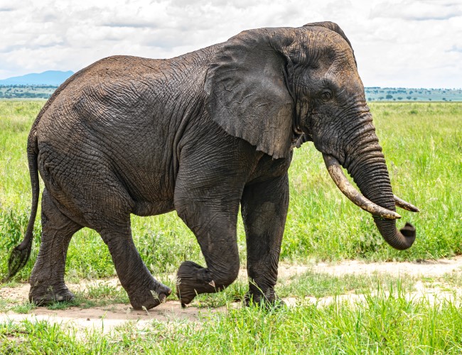 Arusha National Park