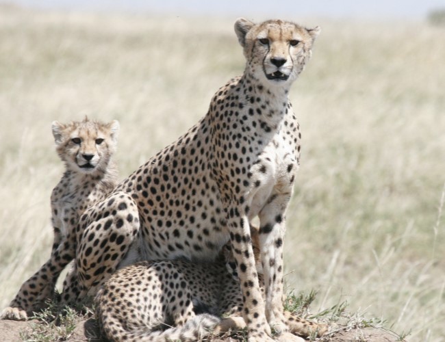 Serengeti National Park
