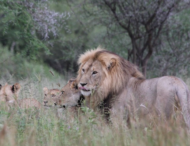 Tarangire National Park